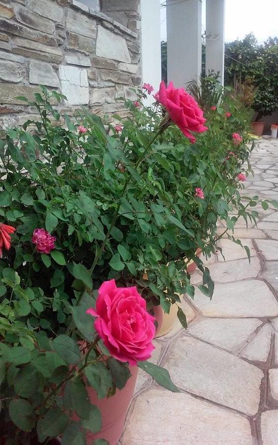Hotel Sevilli Agios Ioannis  Eksteriør bilde